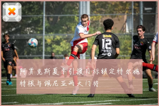 阿贾克斯夏季引援目标锁定特尔施特根与佩尼亚两大门将