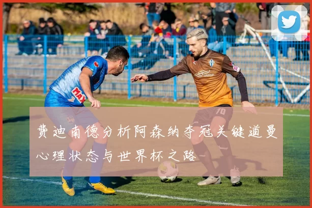 费迪南德分析阿森纳夺冠关键道曼心理状态与世界杯之路